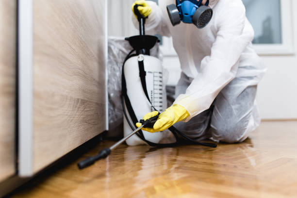 Best Wasp Removal Services  in Lan, MI