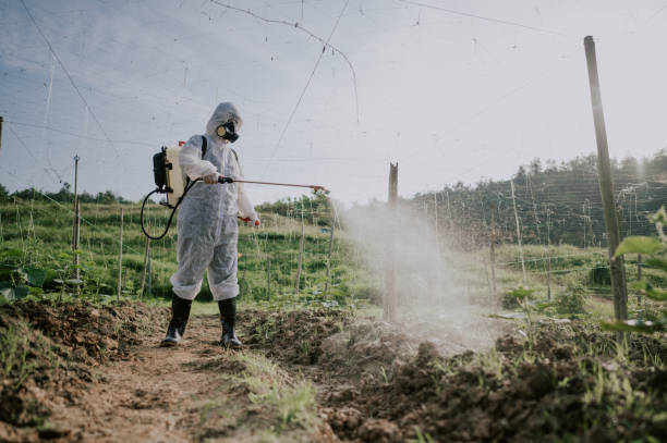 Pest Control Cost in Milan, MI