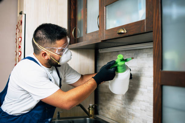 Best Residential Pest Control  in Lan, MI