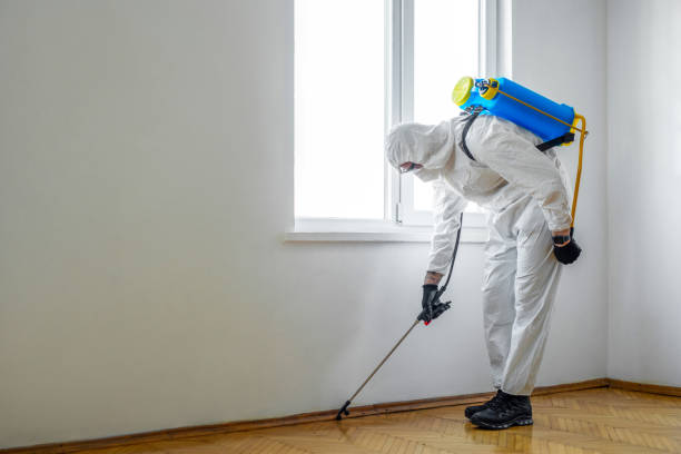Best Flea Control Services  in Lan, MI