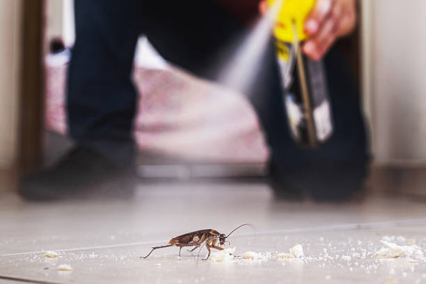 Best Pest Control for Homes  in Lan, MI
