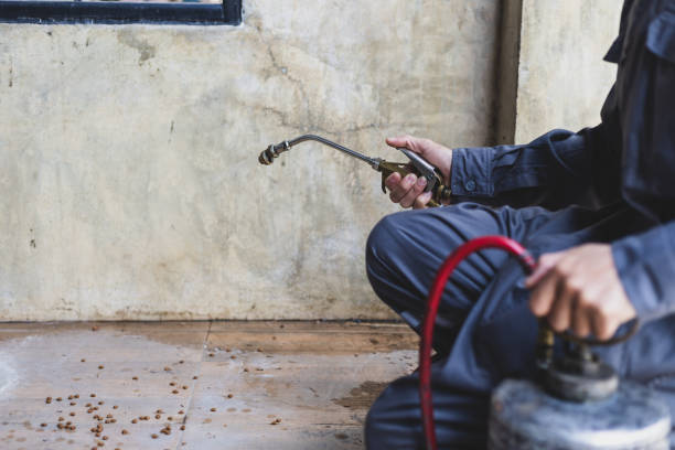 Best Best Pest Control Companies  in Lan, MI